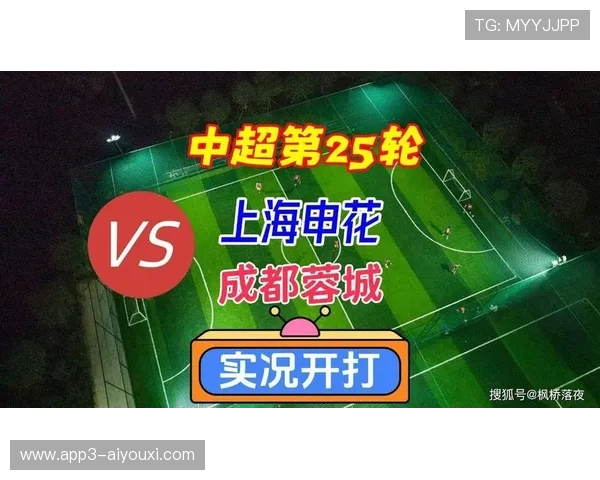 中超比赛录像分析系统广泛应用,中超实况录像 中超比赛录像分析系统广泛应用,中超实况录像